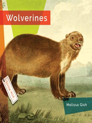 cover image of Wolverines
